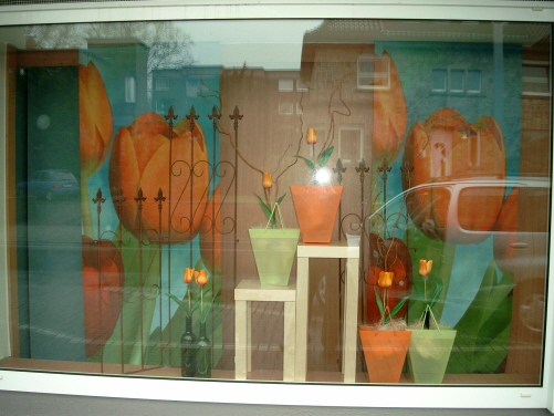 Bild0149