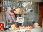 Bild0481